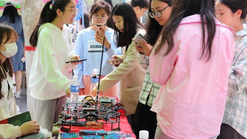 数据服务安装标准：关键要素与实施要点
